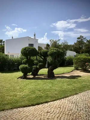 a statue of a bush in the grass at Victory Village 3A in Quinta do Lago