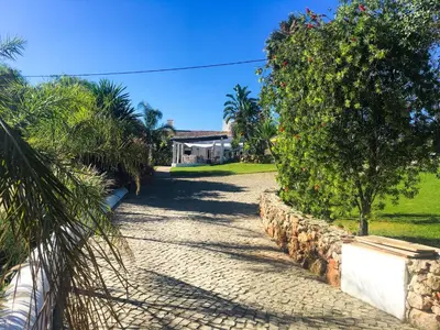 a street with a stone wall and trees and a house at Quinta Da Ilda in Loulé