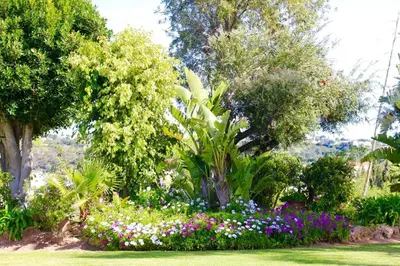 a garden with flowers and trees in a park at FARMHOUSE CASA DA AVÓ in Loulé