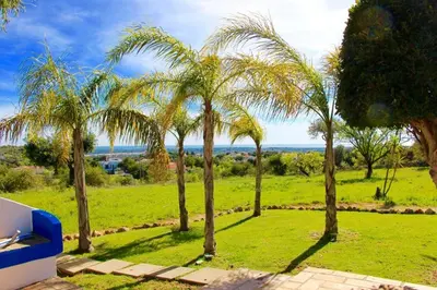 a group of palm trees in a green field at FARMHOUSE CASA DA AVÓ in Loulé