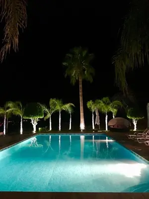 a blue swimming pool with palm trees at night at FARMHOUSE CASA DA AVÓ in Loulé