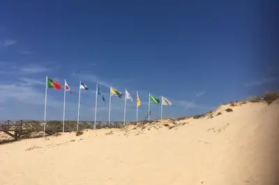 a row of flags on the beach in the sand at Quinta Golf & Beach House in Quinta do Lago