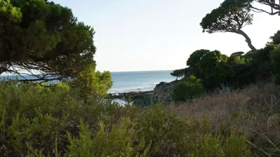 a view of the ocean from a beach with trees at Luxurious T2 apartment, Olhos Dagua in Albufeira