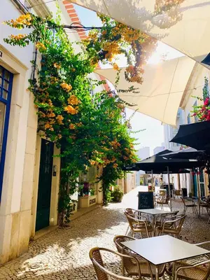 an empty street with tables and chairs and flowers at Senhor Gigi in Faro