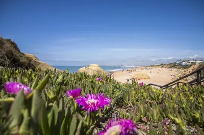 a beach with purple flowers and people on the beach at Villa Magali in Galé