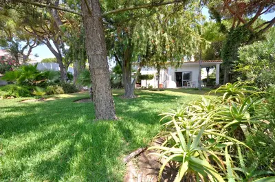 a backyard with a swimming pool and grass at Delightful single-storey villa, private pool, free air conditioning and wifi in Vilamoura