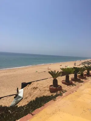 a beach with a row of palm trees and the ocean at Luxury 3 Bedroom Apartment on Gated Complex in Quarteira