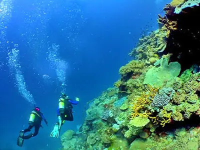 two people are scuba diving over a coral reef at V3, Villa Jardins Branqueira6 near Beach, Albufeira in Albufeira