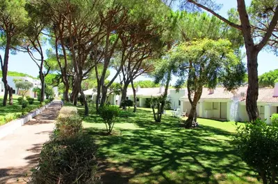 a green yard with trees and a building at Acoteias Studio by be@home in Albufeira