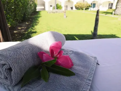 a pink flower sitting on top of a towel at Natura Algarve Club in Albufeira