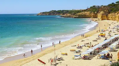a group of people on a beach with the ocean at 241 Oliveiras Terraces in Albufeira