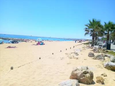 a sandy beach with palm trees and the ocean at Atlantico 8- Vista Mar, Ar-Condicionado, 80mt Praia, Wifi in Quarteira