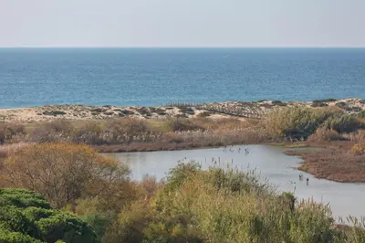 a group of people standing in a river near the ocean at Romy in Vale do Lobo