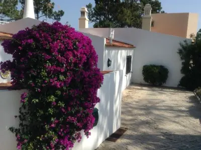 a bush of purple flowers on the side of a building at Casa Nicho in Vale do Lobo