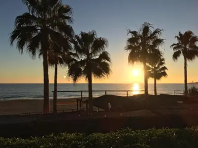 a sunset at the beach with palm trees at Quinta Barracuda Albufeira in Albufeira