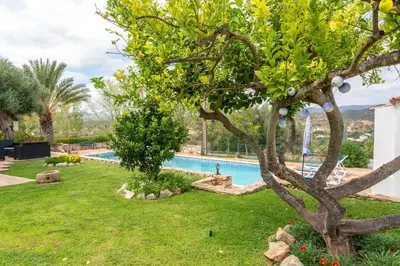 a garden with a swimming pool and a tree at Monte Madalena in Adega