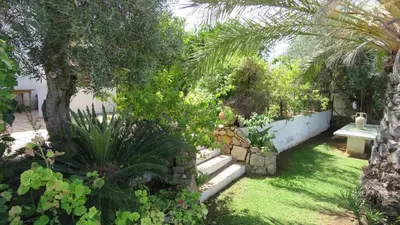 a garden with a palm tree and a bench at Monte Madalena in Adega