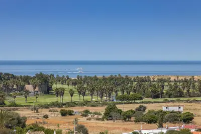 a view of the ocean and palm trees and a boat at D_Loft Ocean in Albufeira