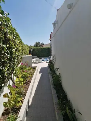 a walkway next to a white wall with plants at Oura Villa V5 in Albufeira