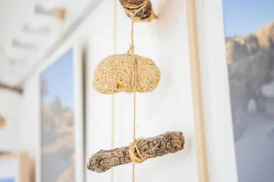 a piece of driftwood hanging on a wall at #006 Foxy D by Home Holidays in Albufeira