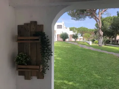 a house with a wall with a plant on it at Studio - Praia da Falesia - Algarve in Albufeira