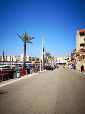 a street in a city with a palm tree and buildings at The Marina Plaza Vilamoura in Vilamoura