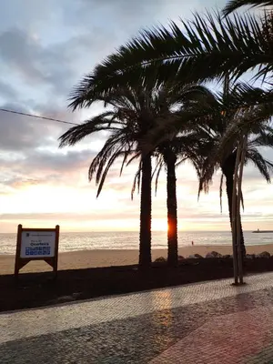 a sign on a beach with palm trees and the sunset at Alsol C 5360 in Quarteira