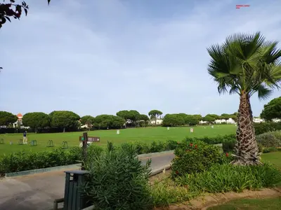 a palm tree in a park with a field at Alsol C 5360 in Quarteira
