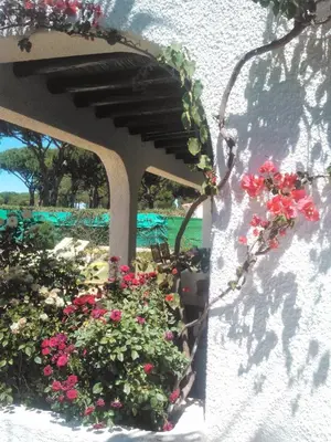 a balcony with flowers on the side of a building at Alsouk in Vilamoura