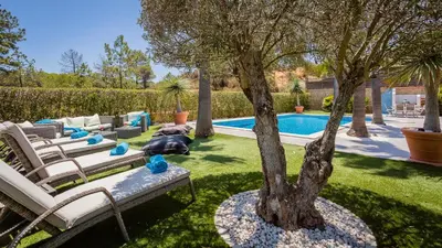 a yard with a pool with a tree and chairs at Villa Natura - Varandas do Lago in Almancil