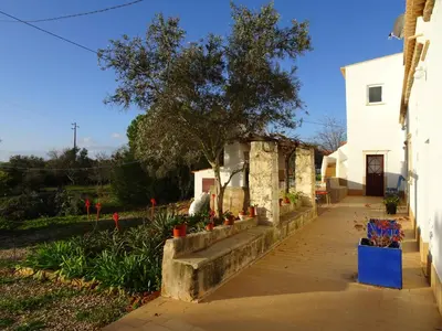 a house with a tree and flowers on a sidewalk at Gold by Check-in Portugal in Albufeira