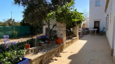 a garden with flowers and plants on a sidewalk at Gold by Check-in Portugal in Albufeira