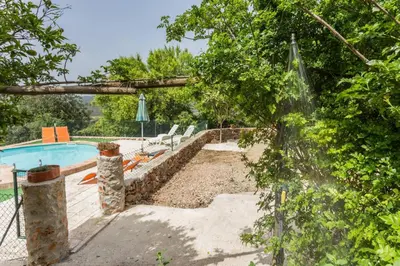 a swimming pool with chairs and a fence and trees at Casa Amoreira - Quinta Amoreira in Faro