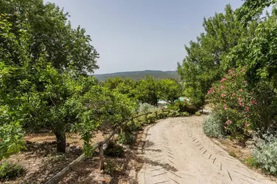 a dirt road lined with trees and bushes at Casa Amoreira - Quinta Amoreira in Faro