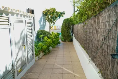 a walkway next to a wall with plants at Villa Marrachinho in Albufeira
