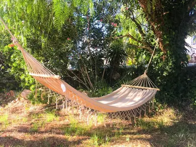 a hammock hanging from a tree in a yard at Elegant villa with sea view in Loulé + private pool in Loulé