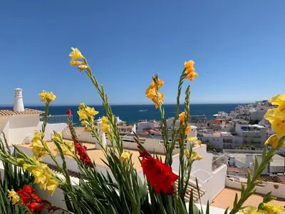 a view of a city from a balcony with flowers at Albufeira, Sea View (25) in Albufeira