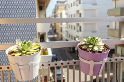 two potted plants sitting on a balcony at Magic Theatre Faro Center in Faro
