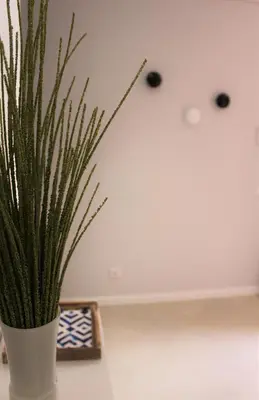 a plant in a white vase sitting on a table at Cardeal Suites & Apartments in Faro