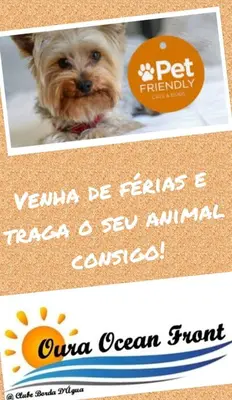 a picture of a dog with a sign that reads canine be tennis a sea animal at Oura Ocean Front in Albufeira