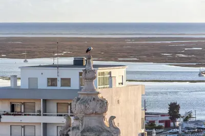 a bird sitting on top of a statue in front of a building at Skyline Blue Dream in Faro