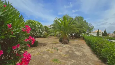 a garden with palm trees and pink flowers at Praia Eulália with pool and 5 minutes from the beach in Albufeira