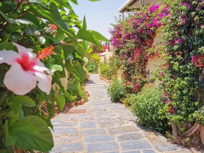 a stone path in a garden with flowers at Vila Planalto - Golfe - Entre o Golfe e o Mar in Vilamoura