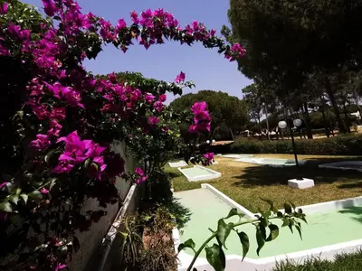 a garden with pink flowers on a wall at Vila Planalto - Golfe - Entre o Golfe e o Mar in Vilamoura