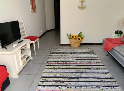 a living room with a television and a rug at Casa Flor de Sal - moradia no Centro de Faro! in Faro