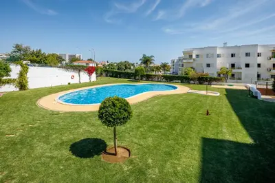 an overhead view of a swimming pool with a tree in the grass at AlbufeiraMar Apartment in Albufeira