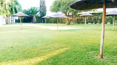 a group of umbrellas sitting in a grass field at Albufeira 603 in Albufeira