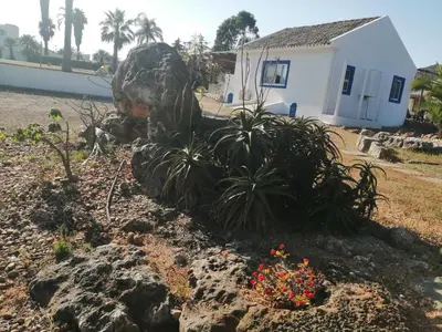 a yellow and red flower in the middle of a plant at Quinta do Medronhal Faro - casas de férias medronhal in Faro