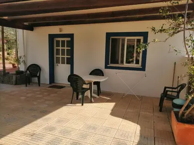 a garden with palm trees and rocks in front of a house at Quinta do Medronhal Faro - casas de férias medronhal in Faro