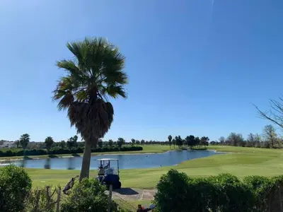 a palm tree on a golf course with a pond at Salgados Beach and Relax in Guia